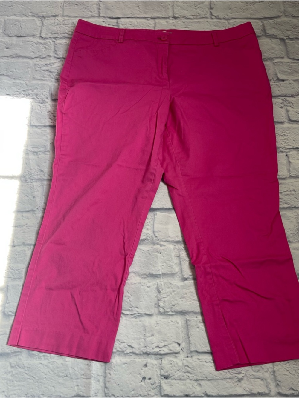 New York & Company Cropped Pants